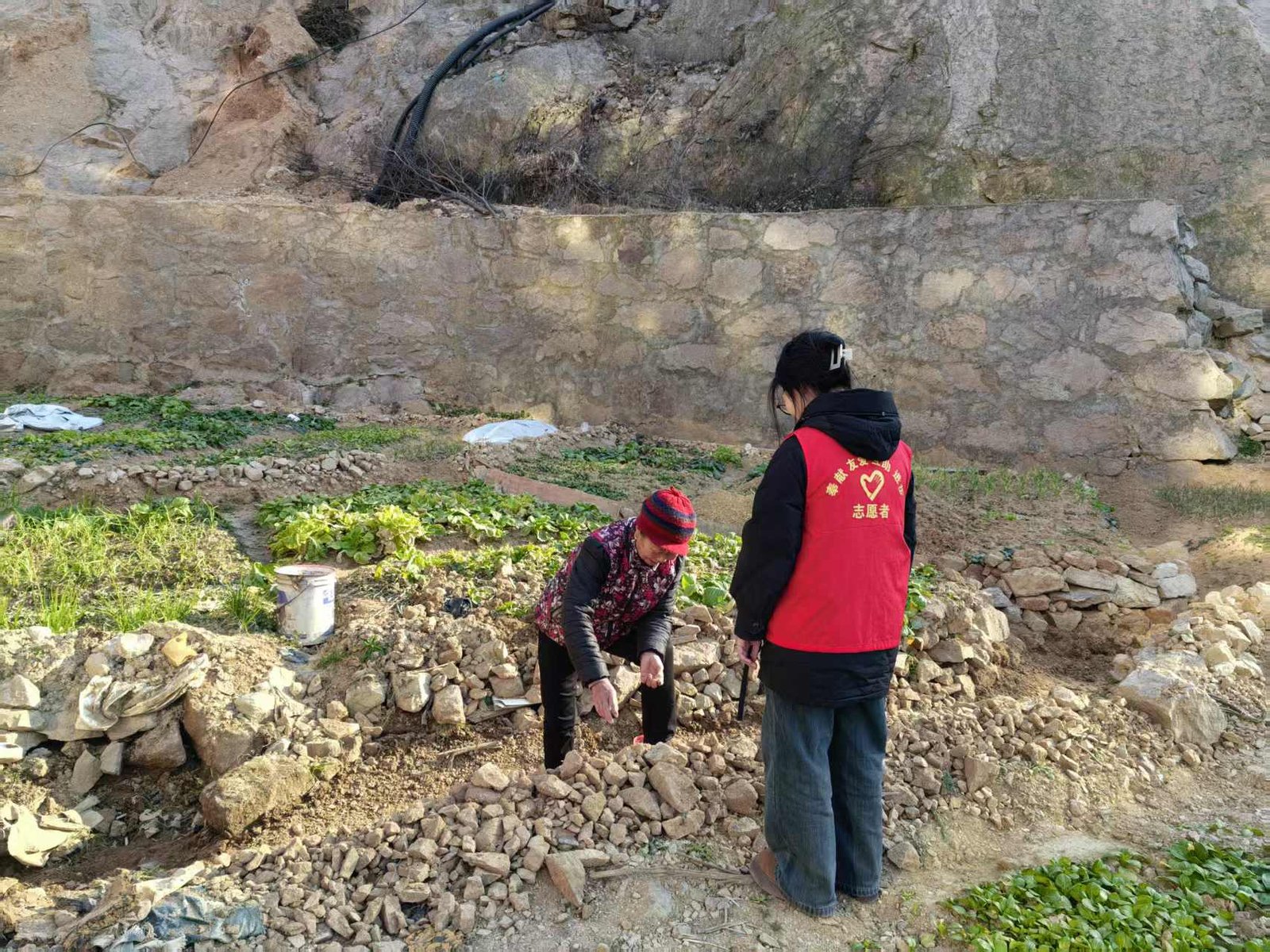 “忆路有伴”：北京社会管理职业学院老年服务与管理专业寒假社会实践报告