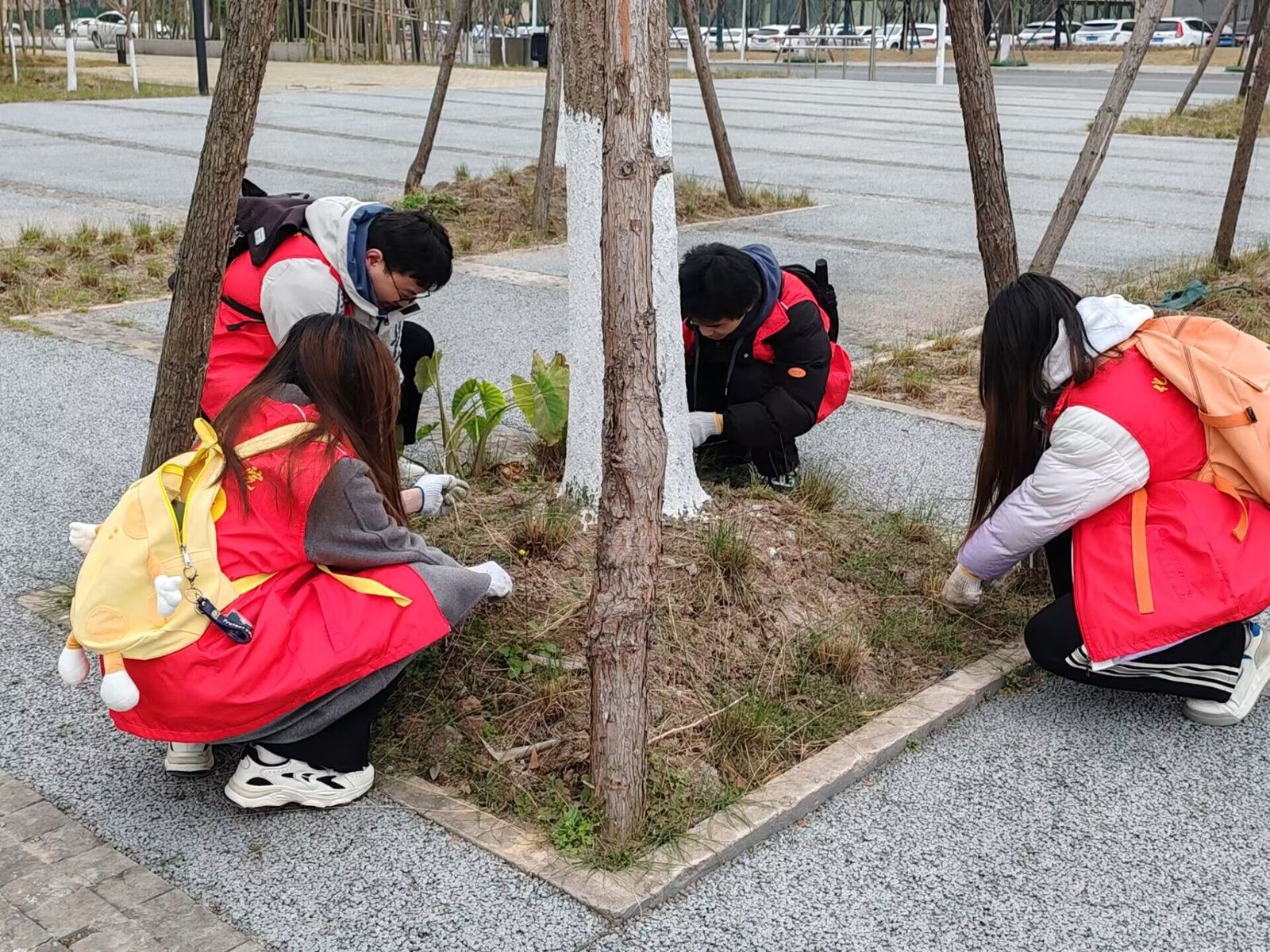 让技术在泥土里扎根 ——四川工程职业技术大学2026年春季“三下乡”社会实践活动